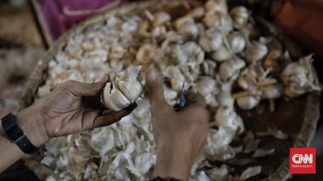 Pengusaha Ungkap Biang Kerok Harga Bawang Putih Meroket