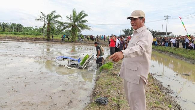 Mentan Pastikan Swasembada Lewat Oplah dan Cetak Sawah Berjalan Lancar