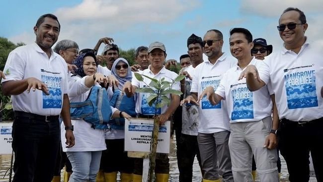 Mangrove for Life, Upaya Freeport Indonesia Pulihkan Lingkungan Hidup