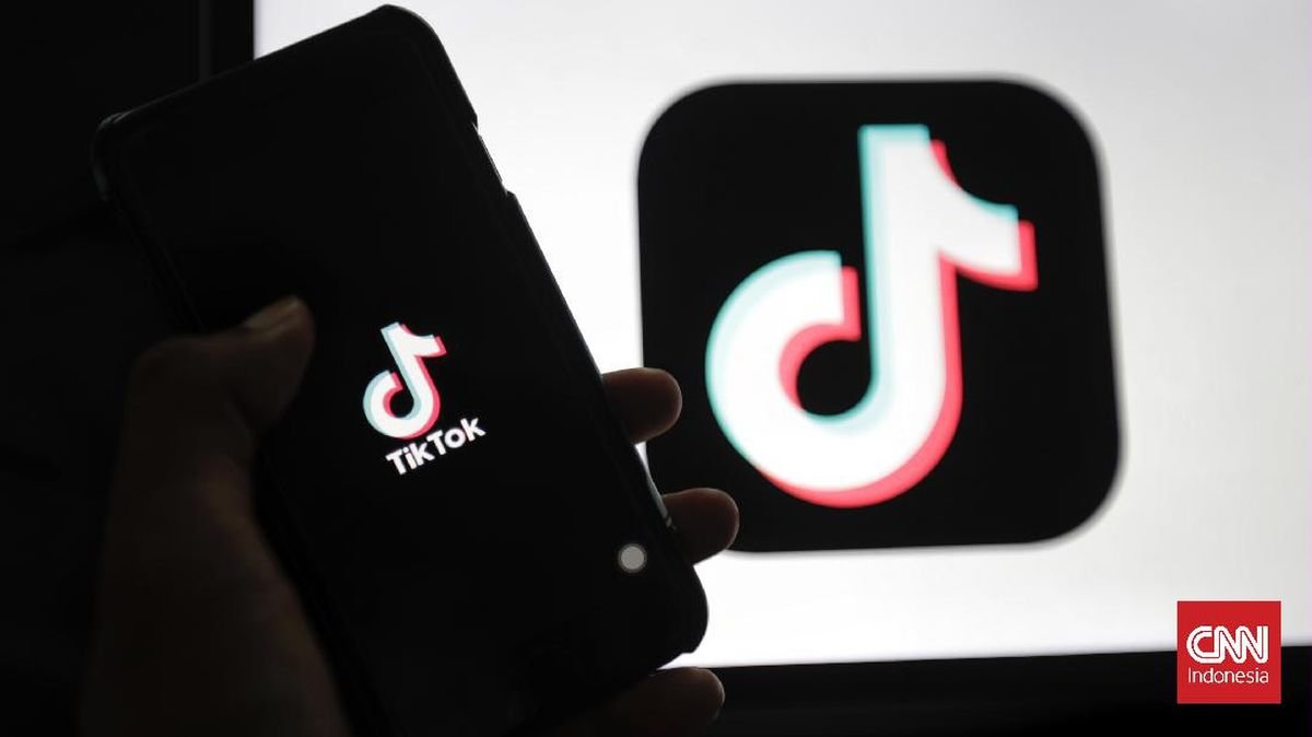 Albania Larang TikTok Mulai Awal 2025, Apa Alasannya?