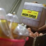 Harga Minyak Goreng Curah Turun Jelang Nataru