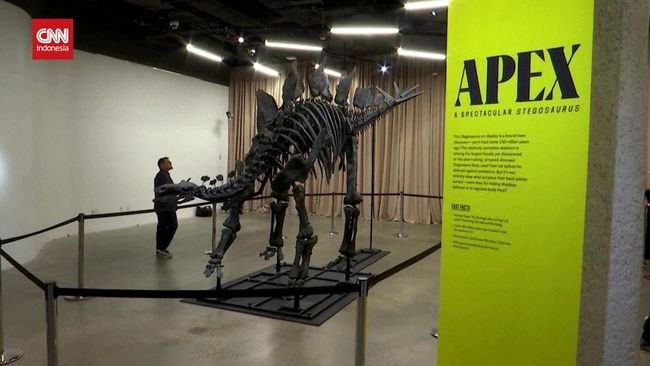 Museum di AS Pamerkan Fosil Stegosaurus