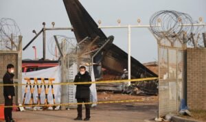 Menara Pengawas Peringatkan Bird Strike Sebelum Jeju Air Kecelakaan