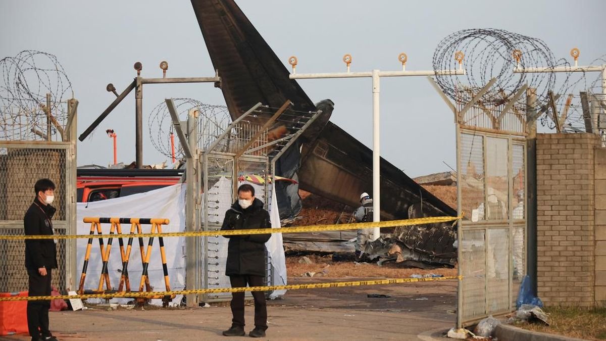 Menara Pengawas Peringatkan Bird Strike Sebelum Jeju Air Kecelakaan