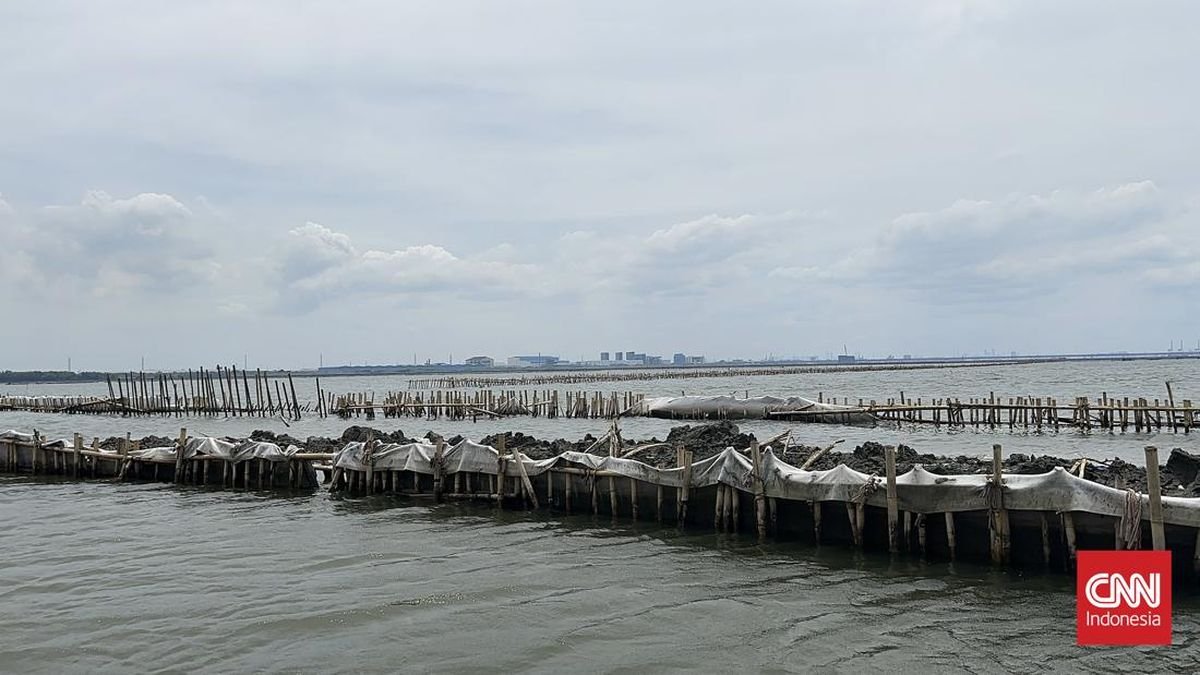 Airlangga soal Pagar Laut Bekasi: Bukan Giant Sea Wall