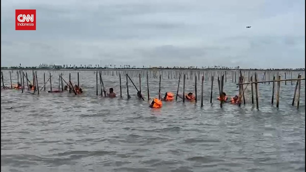 Pembongkaran Pagar Laut Misterius di Tangerang