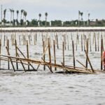 Kenapa Pagar Laut Masih Sengkarut, Siapa 'Tuhan' di Balik Kasus Itu?