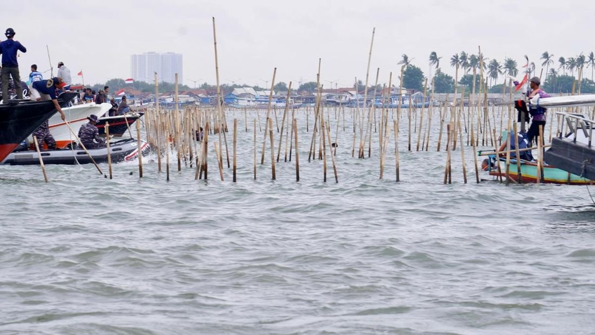 Hampir Sebulan, Kenapa Belum Ada yang Dipidana di Kasus Pagar Laut?