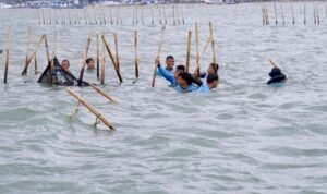 KKP Ungkap Keterbatasan Kewenangan di Kasus Pagar Laut