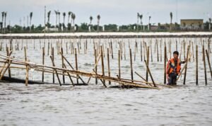 Kemendagri Dalami Keterlibatan Kades soal Penerbitan SHGB Pagar Laut