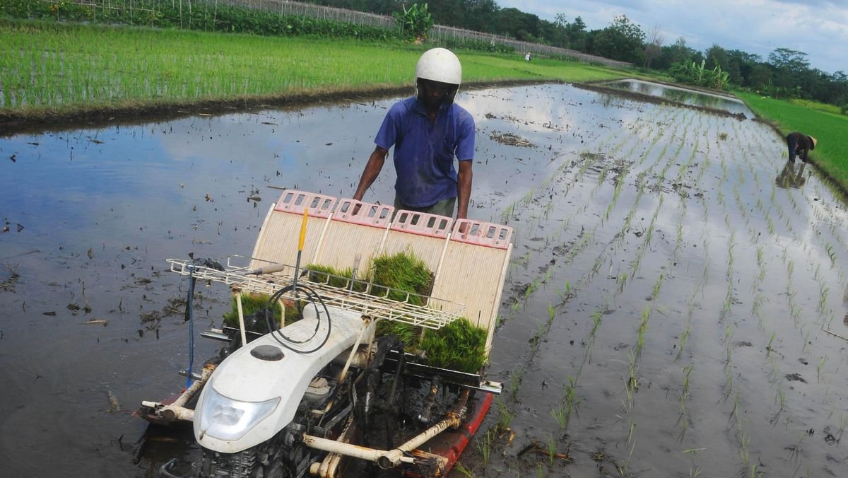 Menteri UMKM Godok Aturan Alokasi KUR Rp20 T Buat Alat Pertanian Cs