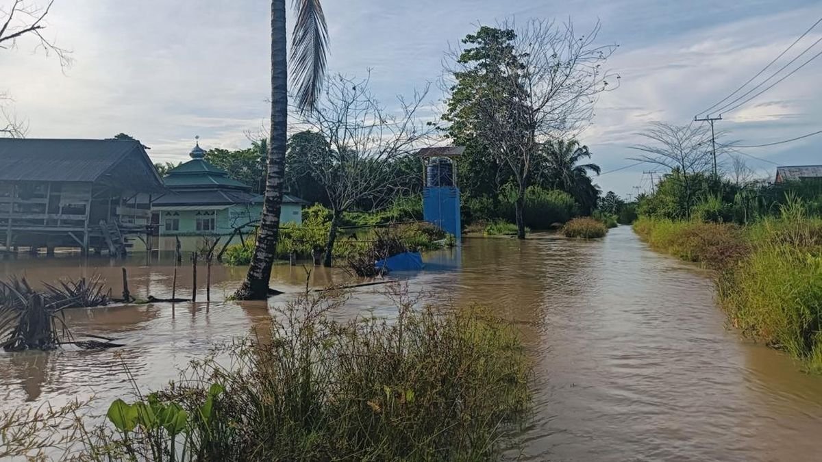 Ratusan Hektar Sawah di Lampung Selatan Terendam Banjir hingga 2 Meter