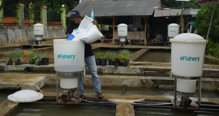 Penggelapan Dana eFishery Diduga Capai Rp9,7 T