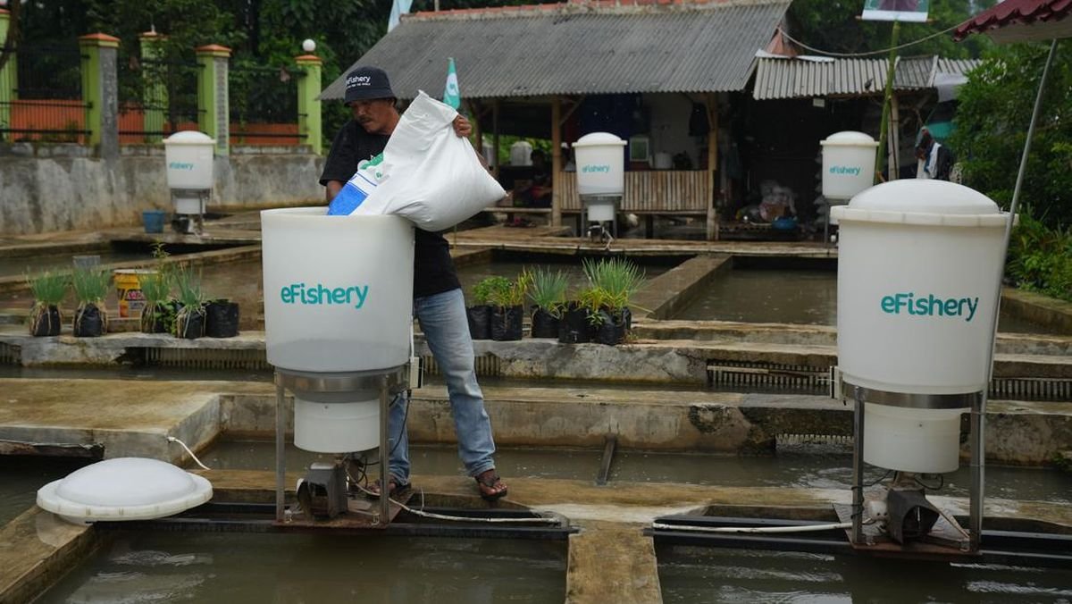 Penggelapan Dana eFishery Diduga Capai Rp9,7 T