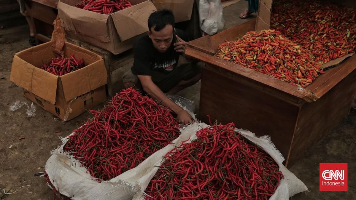 Petani Buka-bukaan soal Alasan Harga Cabai Meroket