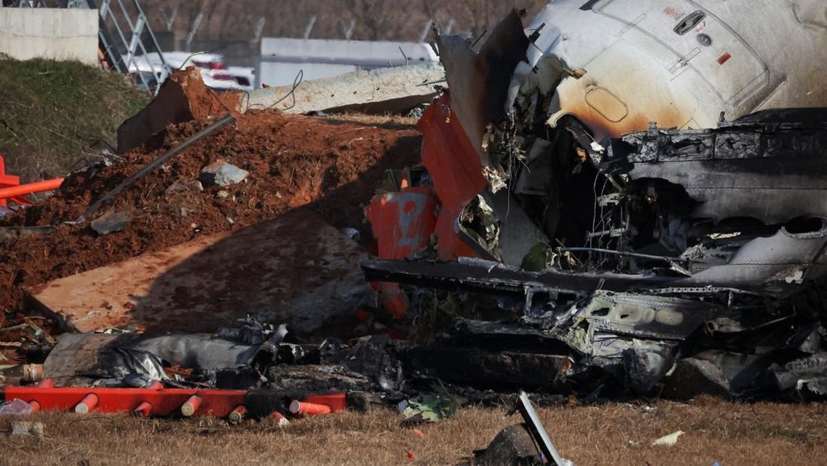 Pesawat Jeju Air Jatuh saat Mendarat, Mungkinkah Gegara Tabrak Burung?