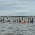 Menteri ATR Nusron Cabut SHGB Pagar Laut Tangerang