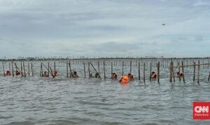 Menteri ATR Nusron Cabut SHGB Pagar Laut Tangerang