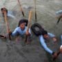 Aksi Pasukan Katak hingga Said Didu Bongkar Pagar Laut Tangerang