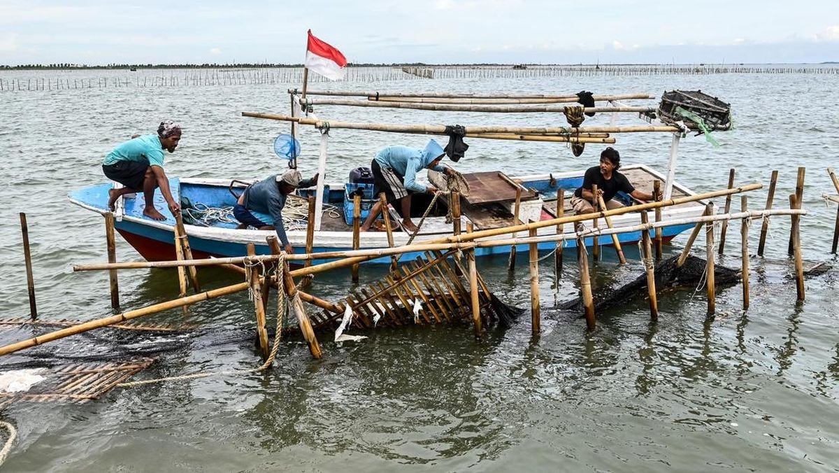 Fakta-fakta Pembongkaran Pagar Laut Misterius di Tangerang