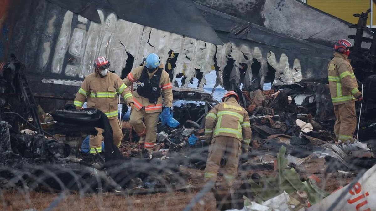 Jeju Air Jatuh Imbas Bird Strike sampai Larangan Taliban soal Jendela