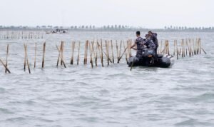 Beber Data Satelit, Pakar Bantah Pagar Laut Tangerang untuk Abrasi