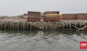 KPP Bongkar Pagar Laut Ilegal 3,3 Km di Bekasi