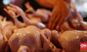 Polisi Bongkar Penjualan Ayam Gelonggongan di Pasar Kebayoran Lama