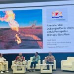 Saleh Husin Ungkap 4 Ganjalan Industri Hilirisasi Gas RI