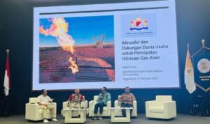 Saleh Husin Ungkap 4 Ganjalan Industri Hilirisasi Gas RI