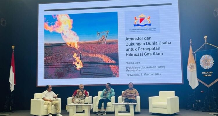 Saleh Husin Ungkap 4 Ganjalan Industri Hilirisasi Gas RI