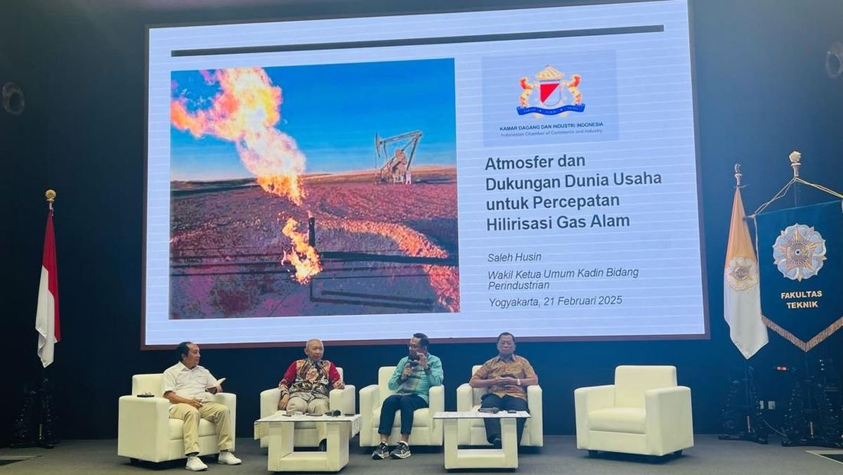 Saleh Husin Ungkap 4 Ganjalan Industri Hilirisasi Gas RI