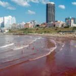 Fenomena Alam, Pasir di Pantai Argentina Berubah Jadi Merah