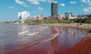 Fenomena Alam, Pasir di Pantai Argentina Berubah Jadi Merah