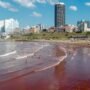 Fenomena Alam, Pasir di Pantai Argentina Berubah Jadi Merah