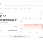 Tak Cuma ke Dollar, Konversi Rupiah ke Euro di Google Juga Rp8.000