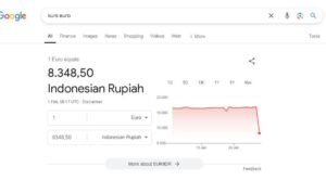 Tak Cuma ke Dollar, Konversi Rupiah ke Euro di Google Juga Rp8.000