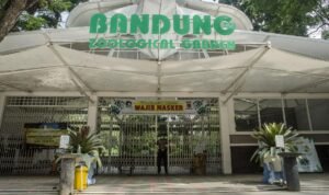 Kebun Binatang Bandung Disegel Buntut Kasus Korupsi Petinggi Yayasan