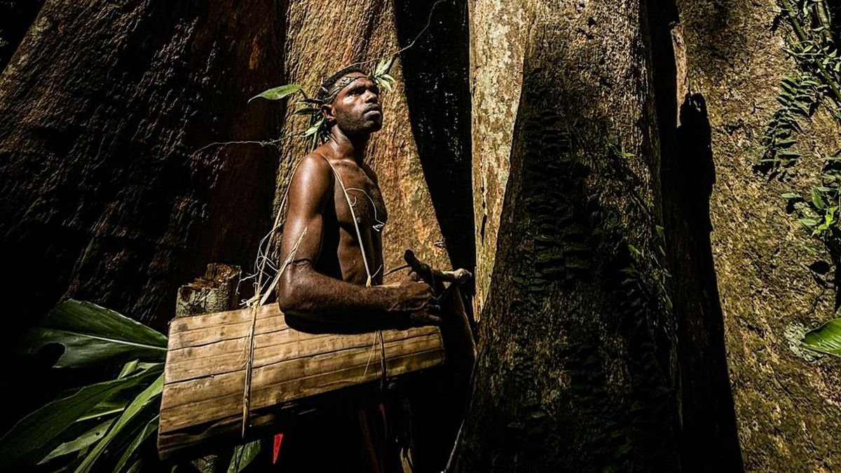 Perjuangan Suku Tehit Menjaga Hutan Papua dari Perusahaan Sawit