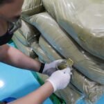 Produk Kratom Bisa Disita Tanpa Diperiksa