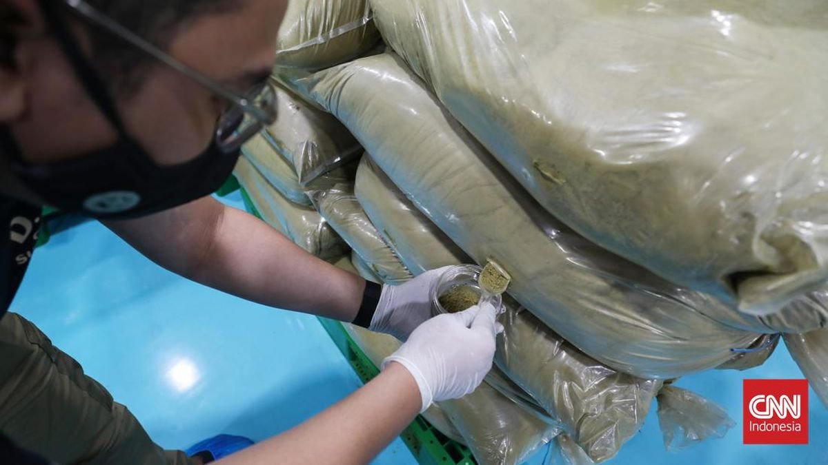 Produk Kratom Bisa Disita Tanpa Diperiksa