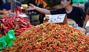 Harga Cabai Rawit hingga Telur Melonjak di Atas Harga Acuan