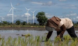 Indonesia Bersiap Tambah Pasokan Listrik dari Tenaga Angin