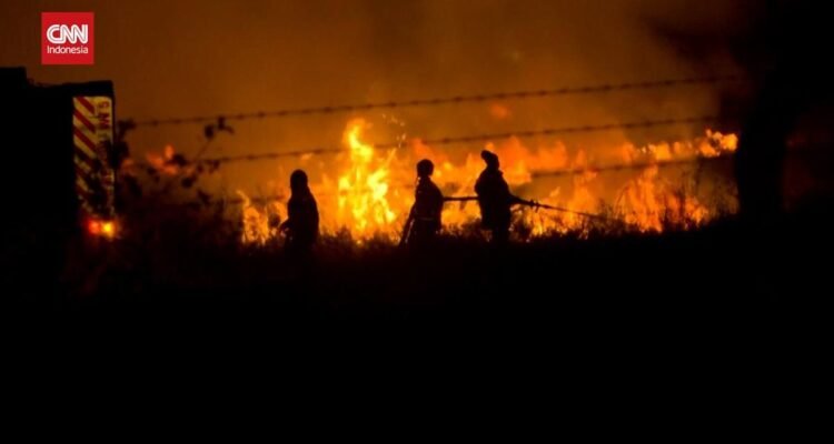 Area Bandara di Kenya Terbakar, Pesawat Beroperasi Normal