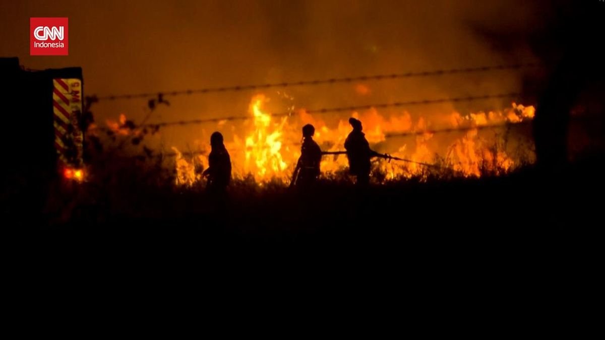 Area Bandara di Kenya Terbakar, Pesawat Beroperasi Normal