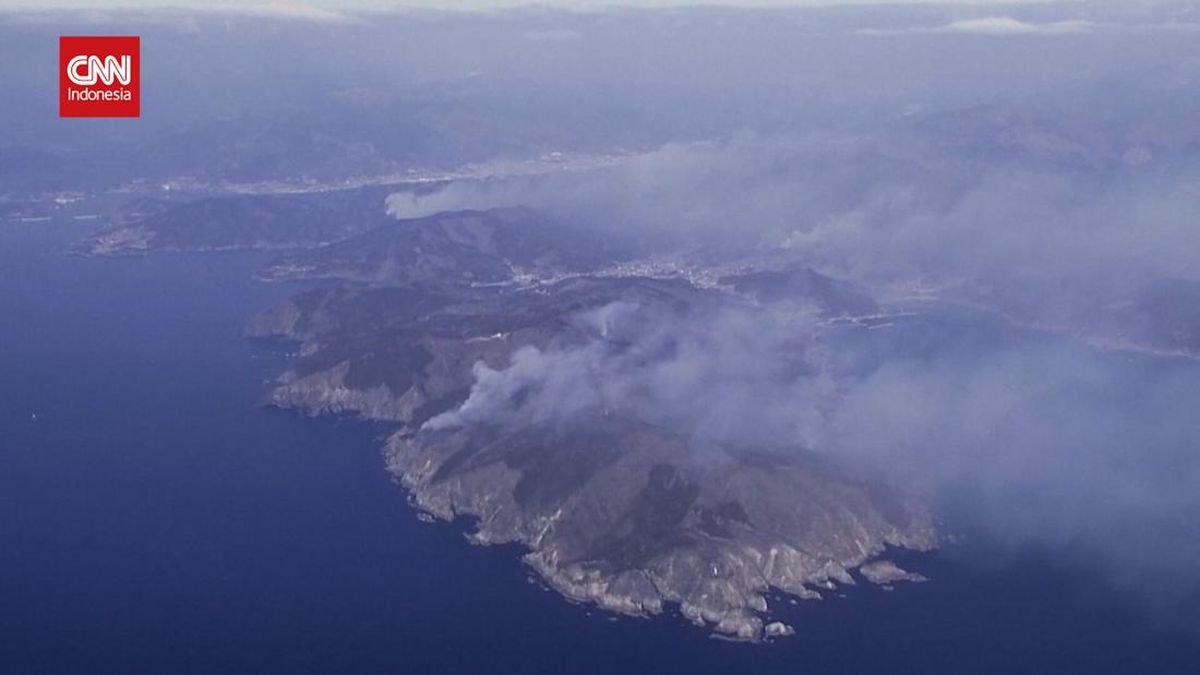 Penampakan Kebakaran Hutan di Jepang Meluas Hingga 1200 Hektare