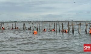 Pegawai Kementerian Diduga Bantu Pemalsuan SHGB Pagar Laut Tangerang