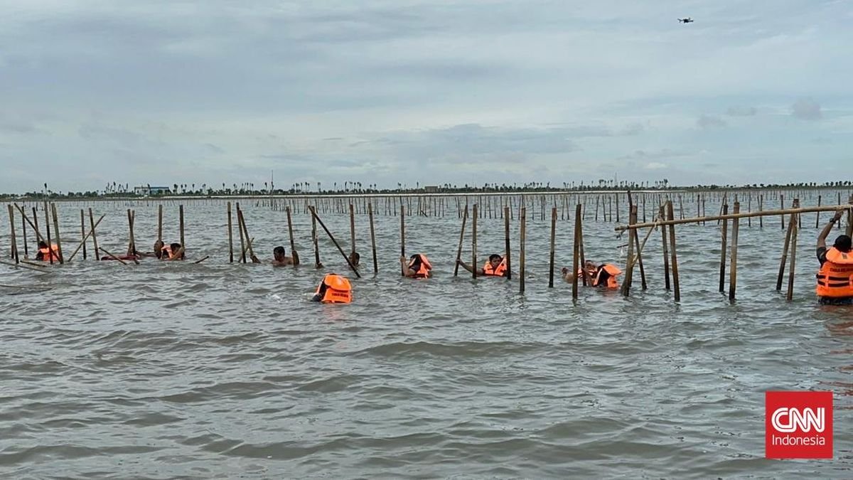 Pegawai Kementerian Diduga Bantu Pemalsuan SHGB Pagar Laut Tangerang