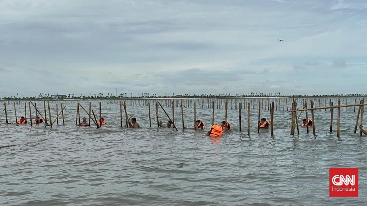 Ombudsman Nyatakan Ada Maladministrasi di Kasus Pagar Laut