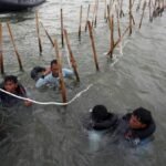 KSAL Sebut Pagar Laut di Tangerang Belum Dibongkar Tersisa 8 Km